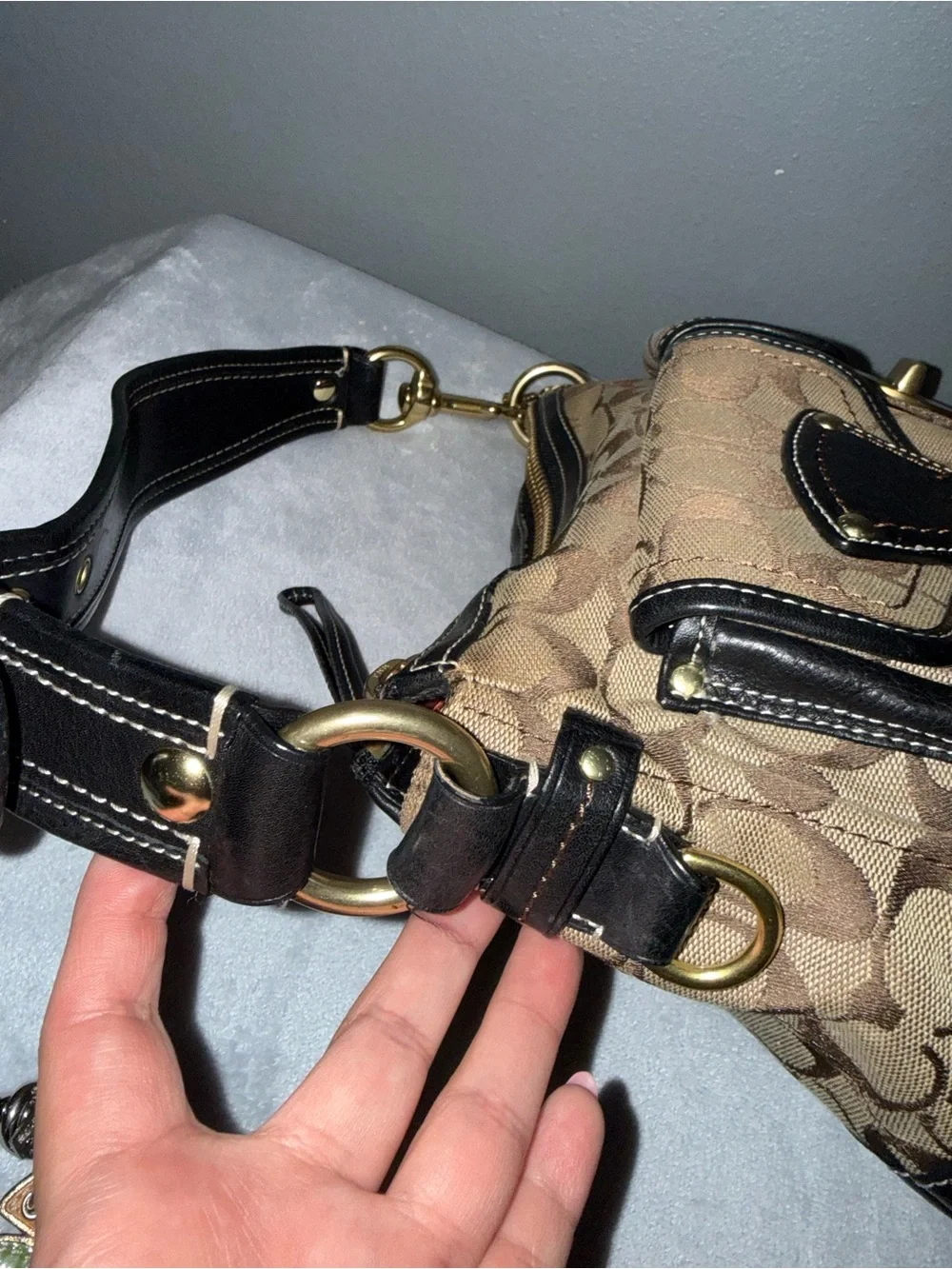 Coach purchased single